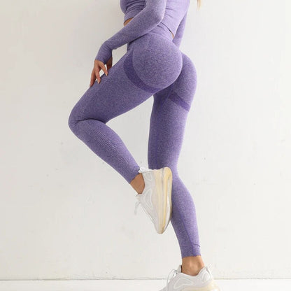 CloudForm | Leggings sans couture